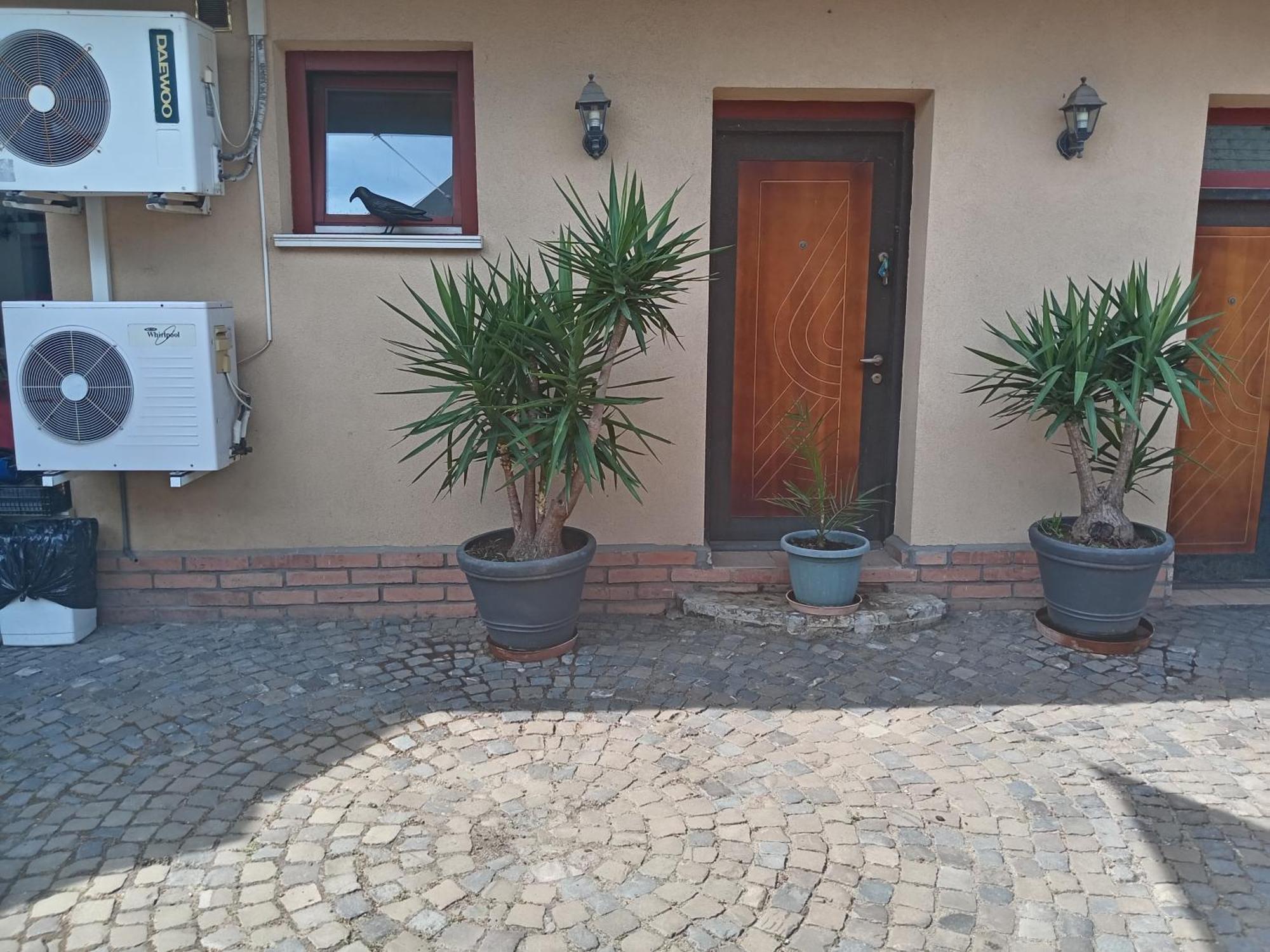 Brique Jobb Mint Othon Apartman Hajdúszoboszló Dış mekan fotoğraf